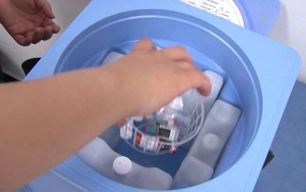 Termo porta vacunas 2.7 litros Nilkamal con PQS OMS