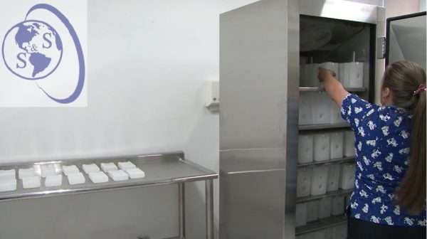 Paquetes fríos 0.6 L Nilkamal para termos porta vacunas l Refrigerantes importados con tapa rosca y PQS OMS