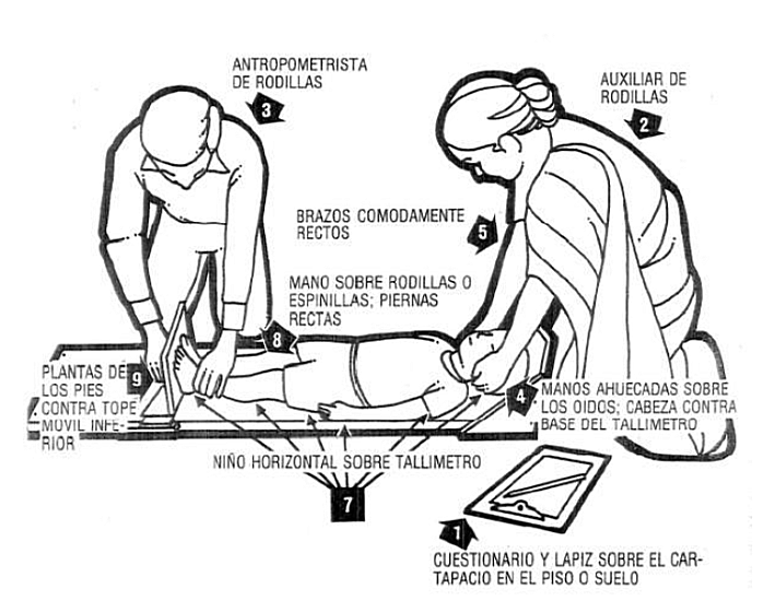 dibujo explicativo de la técnica de medición de la longitud de un niño menor de dos años sobre un infantómetro de madera por el antropometrista y su auxiliar.