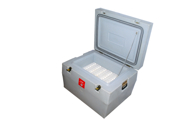 Caja Térmica Blow King 20L Abierta – Interior con Aislamiento y Espacio para Ice Packs Caja térmica Blow King 20L con la tapa abierta, mostrando su interior con aislamiento de espuma de poliuretano y compartimento para ice packs