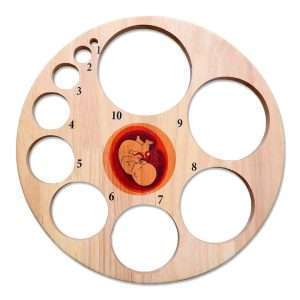 Tabla de Dilatación Cervical de Bambú – Dilatómetro Obstétrico para Obstetricia y Parto Tabla de Dilatación Cervical con ilustración de feto – Dilatómetro Obstétrico de Bambú